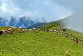 पदयात्राका लागि उत्कृष्ट गन्तव्य बन्दै 'बुकीपाटन'